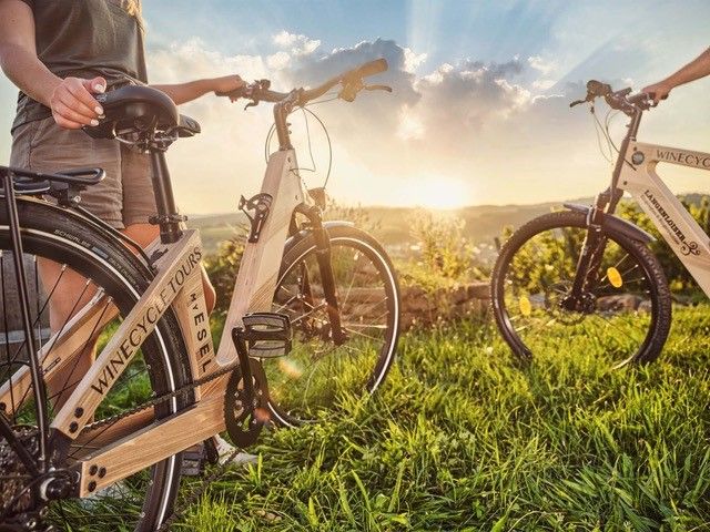 Geführte Touren mit dem Holz E-Bike