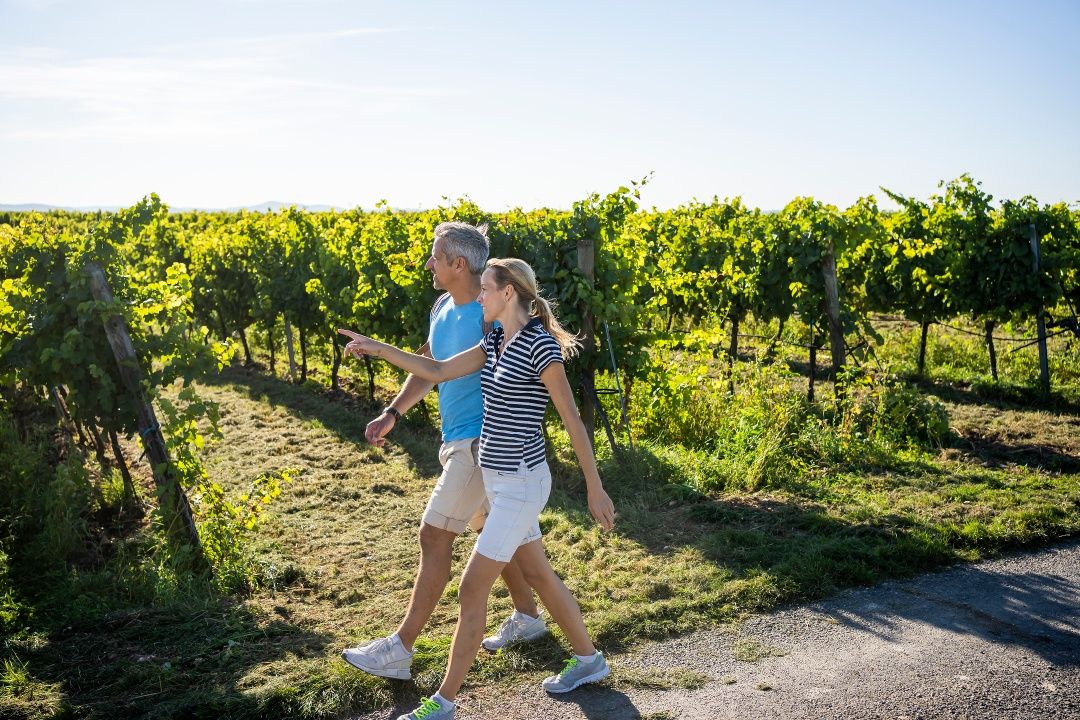 Wanderung am Weinweg