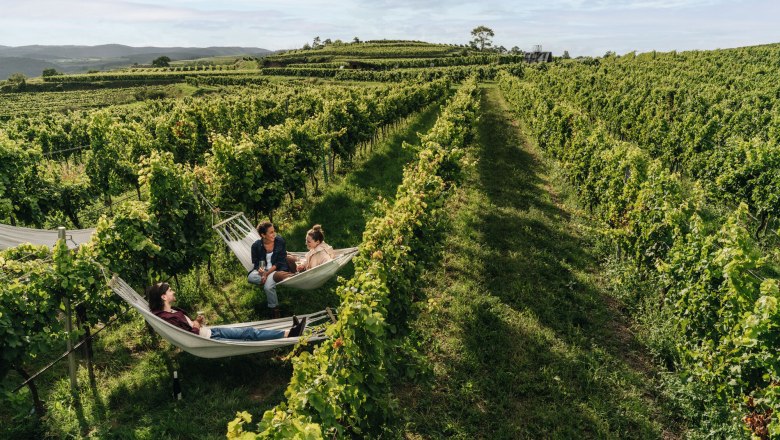 &quot;Seelenschaukel&quot; am WEINWEG Langenlois, © Niederösterreich-Werbung/Julius Hirtzberger