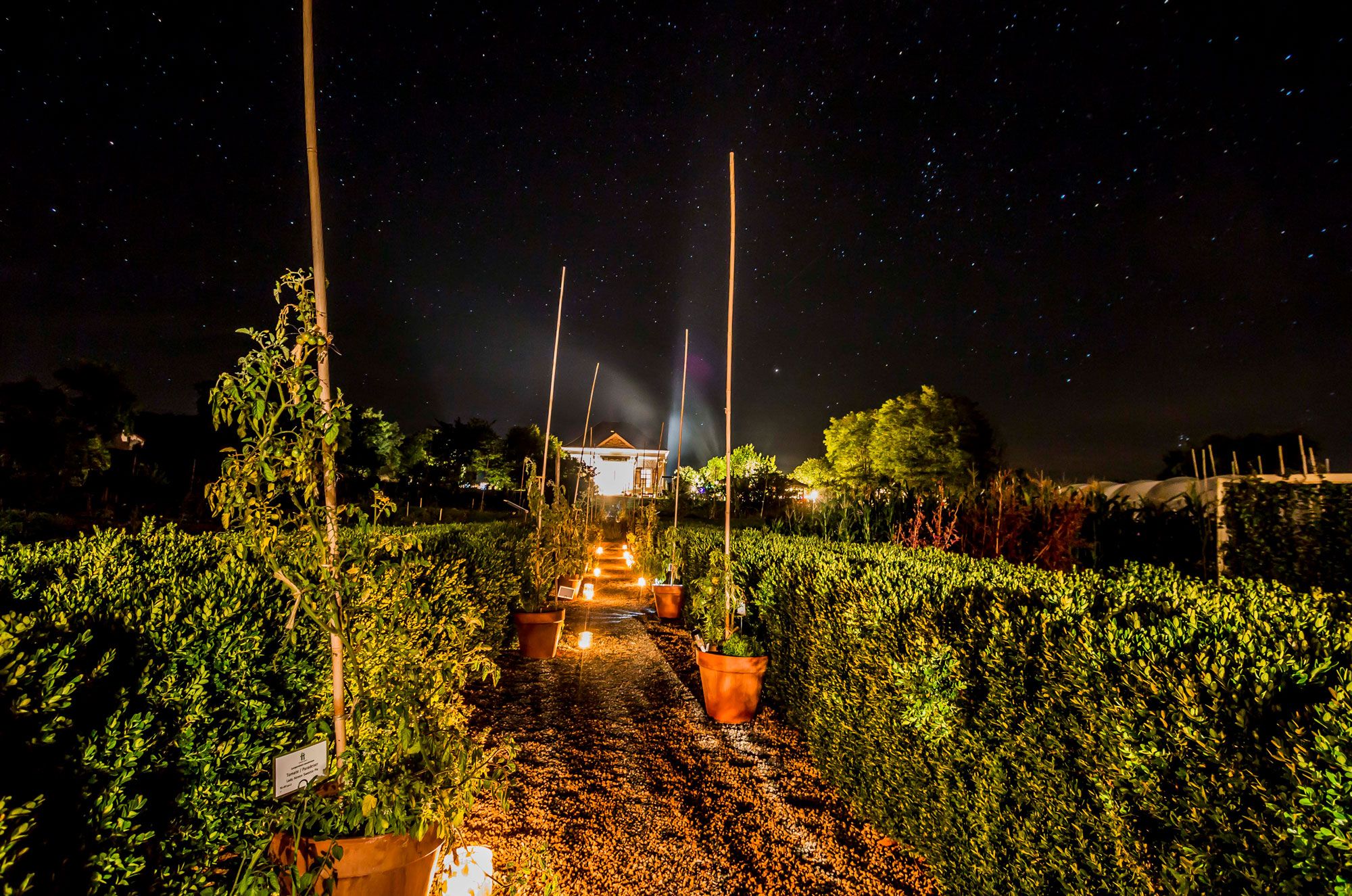 Ein Garten bei Nacht mit Sternenhimmel. 