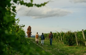 WEINWEG Langenlois, © Niederösterreich-Werbung/Julius Hirtzberger