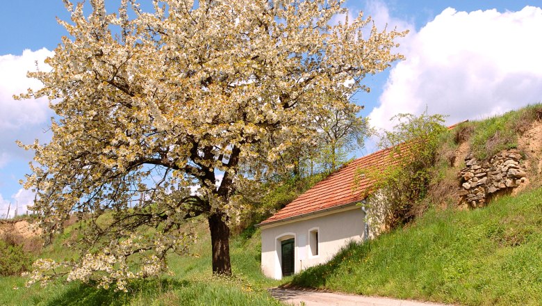 Frühling im Kamptal, © POV Robert Herbst