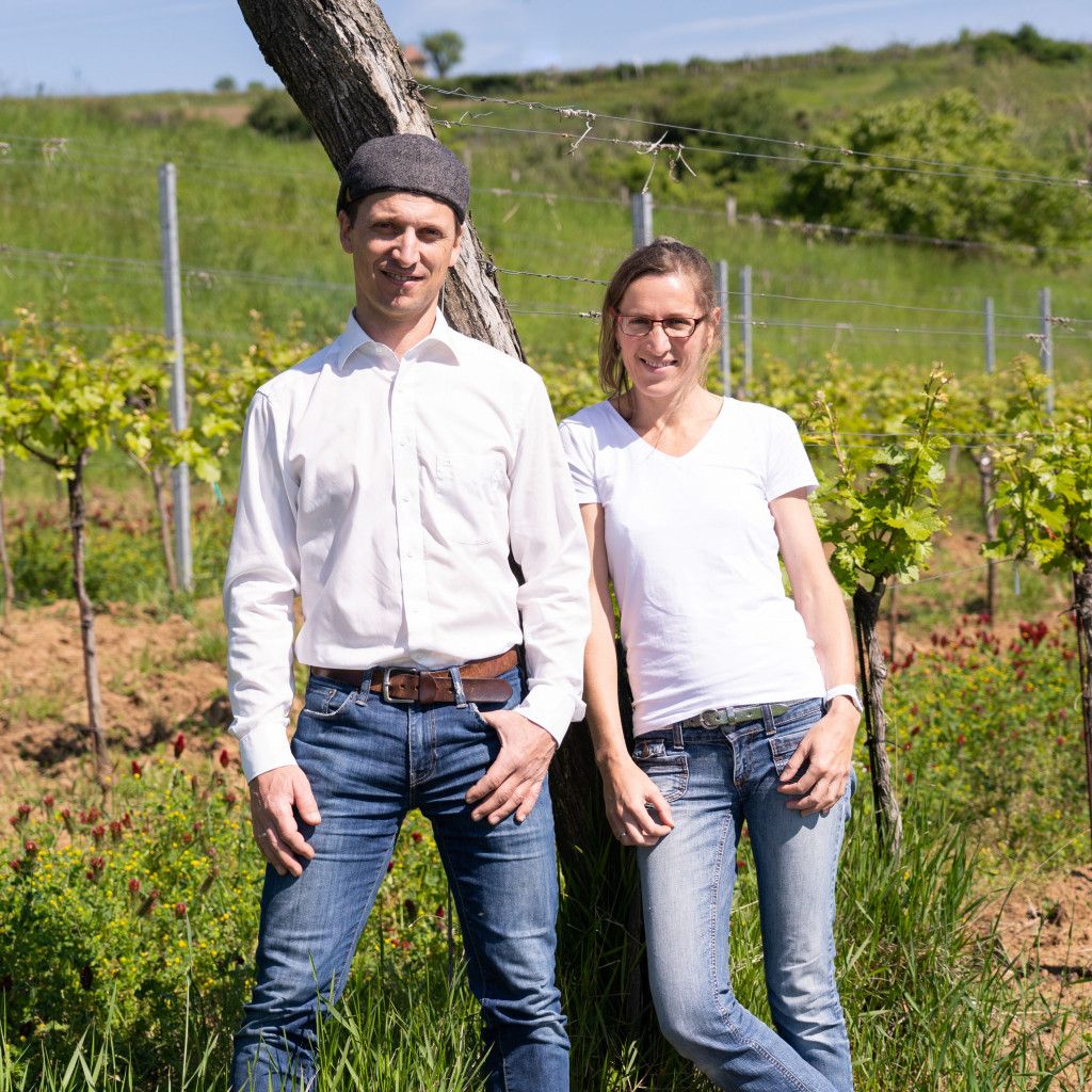 Weinschaun beim Winzer im Bio-Weingut Gruber43