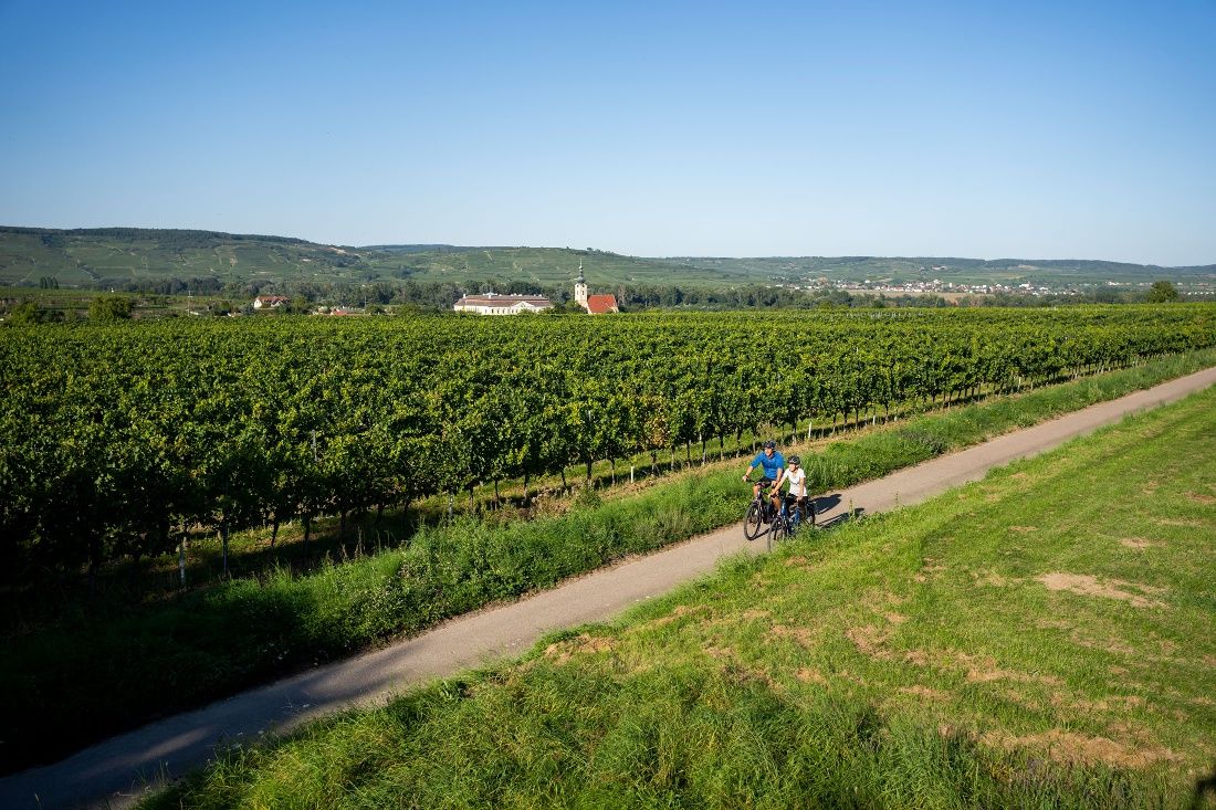 Veltliner-Runde