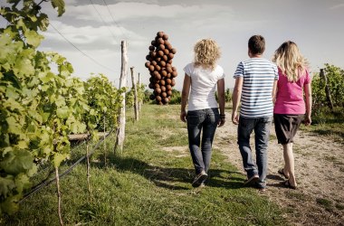 WEINWEG Langenlois, © POV Robert Herbst