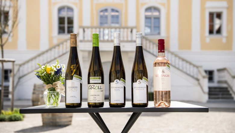 Langenloiser Weinchampions Frühjahr 2025, © POV Robert Herbst