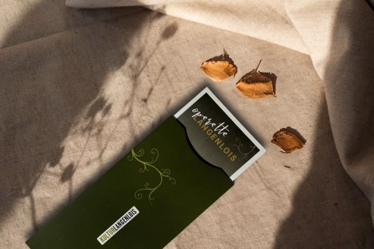 Tickets für Operette &amp; Musical Langenlois, © Kultur Langenlois GmbH