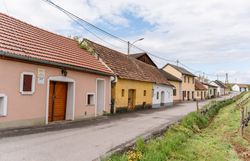Die sanften Hügel des Kamptals sind im Frühling ein wahres Paradies für Weinliebhaber. Bunte Blumen blühen entlang der malerischen Straßen, während die charmanten Weinhäuser einladend wirken. Hier erleben Besucher die perfekte Kombination aus Natur und Genuss.