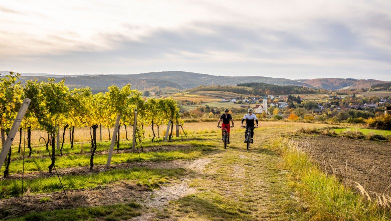 Mountainbiken in Langenlois, © POV Robert Herbst