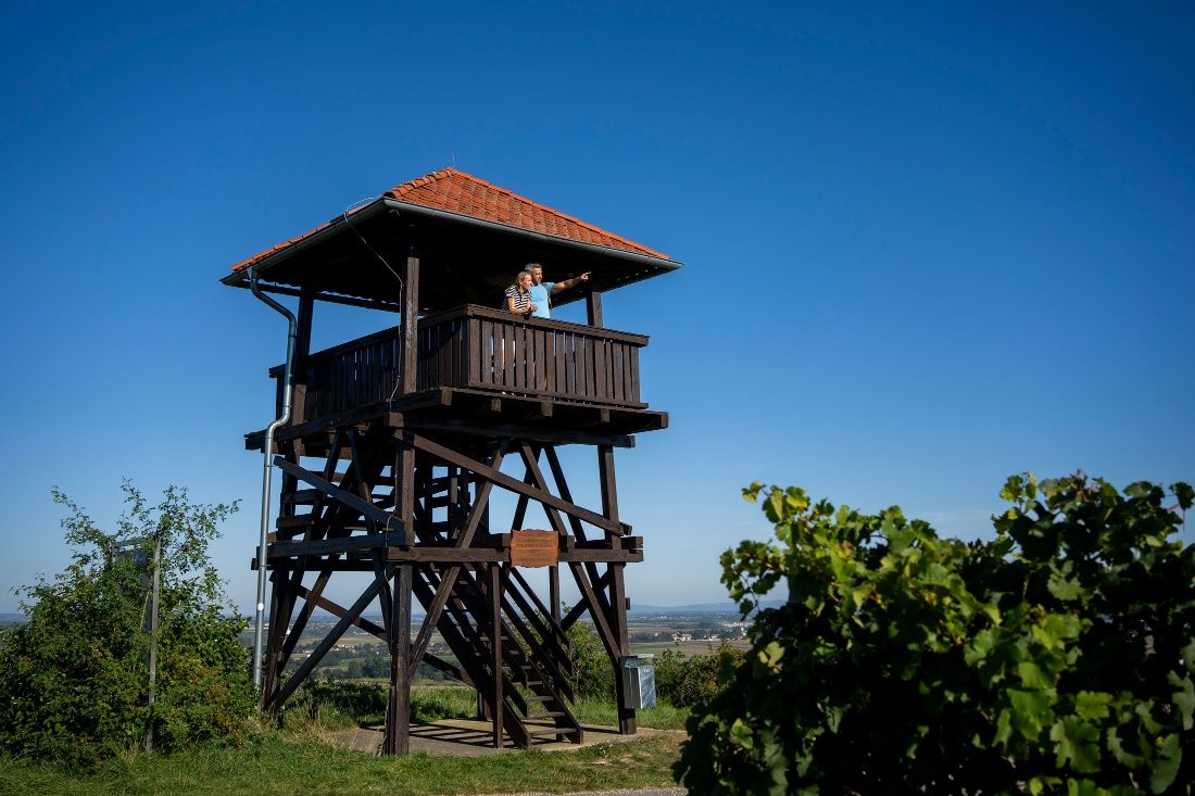 Wanderweg zur Aussichtswarte am Gobelsberg