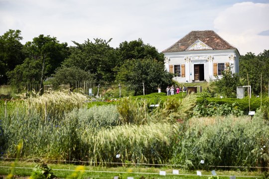 Barocker Pavillon im ARCHE NOAH Schaugarten, © POV Robert Herbst