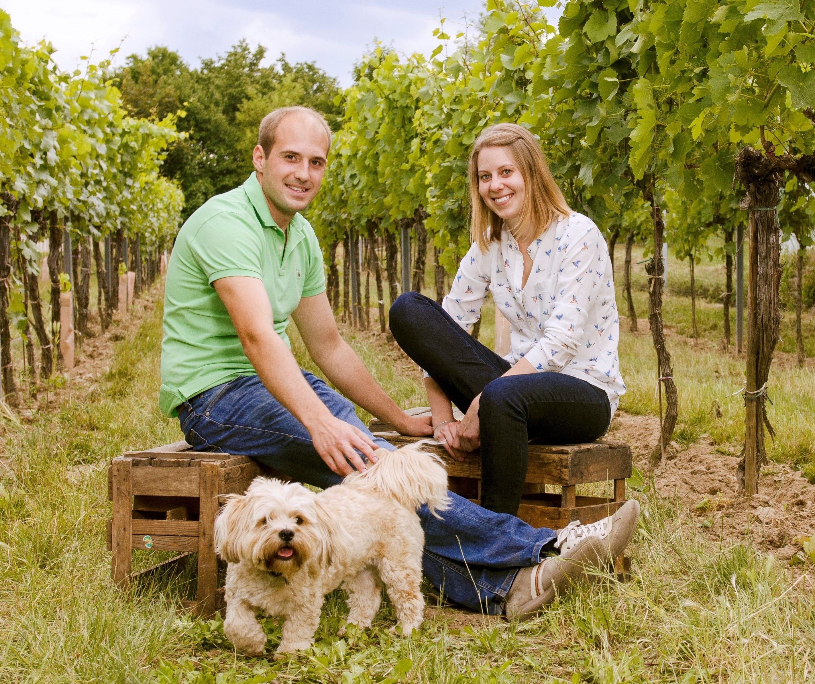 Weingut Fichtenbauer