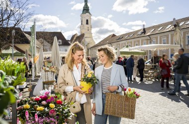 Genussmarkt am Holzplatz, © POV Robert Herbst