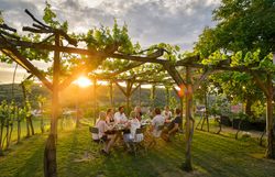 Unter einem schattenspendenden Pergola genießen Gäste die warmen Strahlen der Abendsonne, während sie sich um einen Tisch versammeln, der mit köstlichen Speisen und erlesenen Weinen gedeckt ist. Die sanfte Hügellandschaft im Hintergrund und die üppigen Weinreben schaffen eine einladende Atmosphäre, die zum Verweilen einlädt.