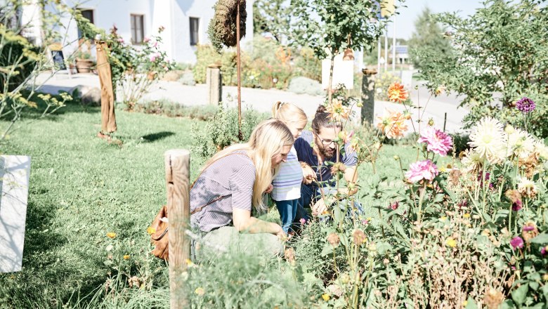 Familie betrachtet Blumen im Garten.