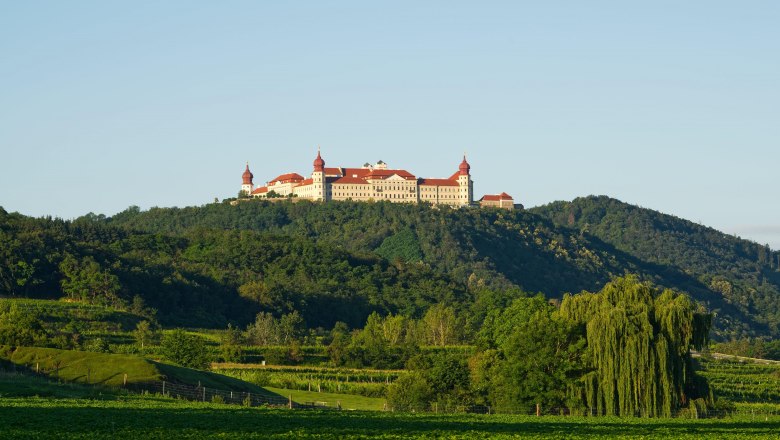 Blick auf das Stift Göttweig auf einem bewaldeten Hügel.