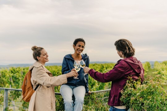 Gutschein: Wandern und Verkosten am WEINWEG Langenlois, © Niederösterreich-Werbung/Julius Hirtzberger