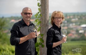 Wein & Wohnen Kroneder, © Familie Kroneder