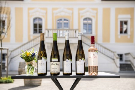 Langenloiser Weinchampions Frühjahr 2025, © POV Robert Herbst