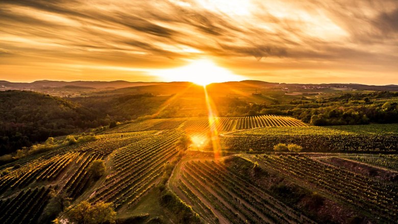 Sonnenuntergang in der Ried Loiserberg, © POV Robert Herbst