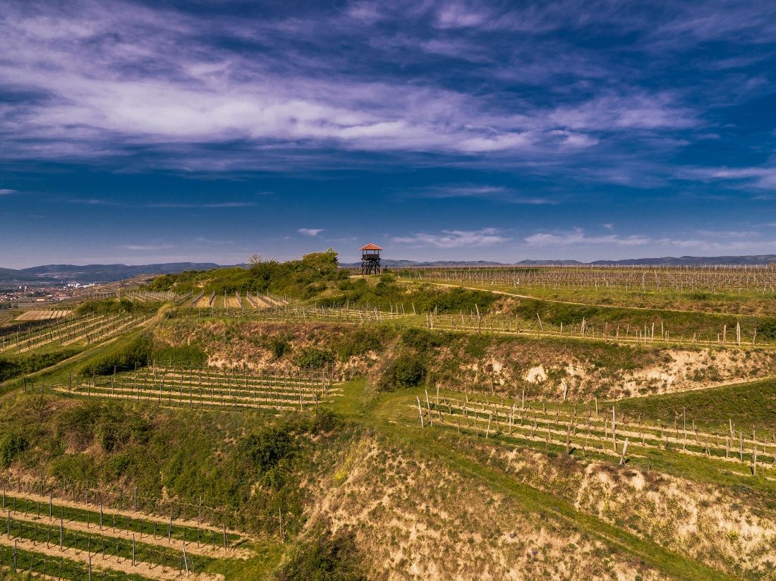 Wanderweg zur Aussichtswarte am Gobelsberg