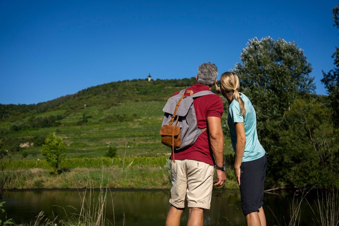 Kamptalwarte am Heiligenstein "Wein- und Wasserrunde"