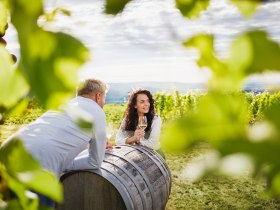 WEINWEG Langenlois, &copy; Waldviertel Tourismus, Gerhard Wasserbauer