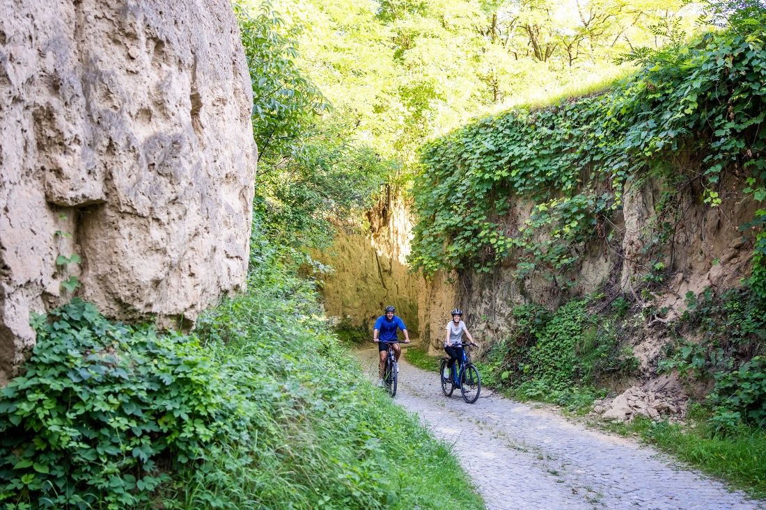 Hohlweg im Kamptal