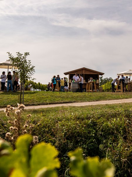 Weingartenschank am WEINWEG Langenlois, © POV Johannes Mautner