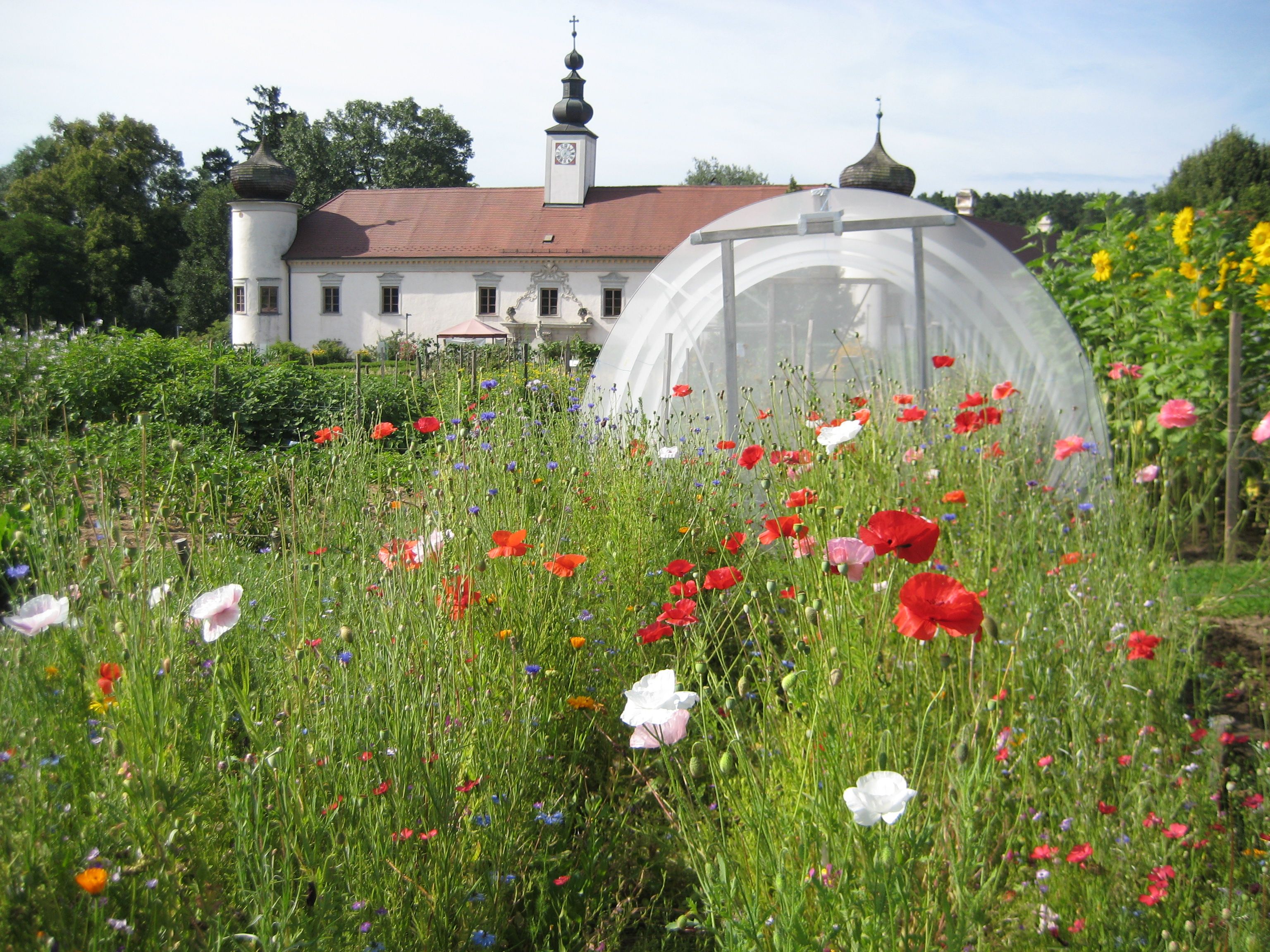 Blumenwiese vor einem historischen Gebäude mit Zwiebeltürmen.