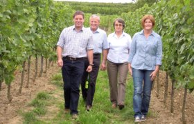 Weinbau Harald Groll, © Weinbau Harald Groll