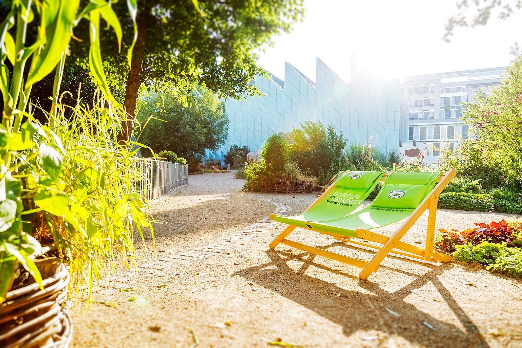 Gartenbereich des Museums Niederösterreich mit grünen Liegestühlen und Pflanzen im Sonnenlicht.