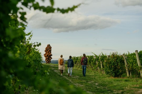 Skulptur „ohne Titel 2005“ von Heimo Zobernig am WEINWEG Langenlois, © Niederösterreich-Werbung/Julius Hirtzberger