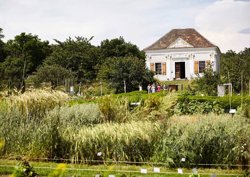 Historisches Gebäude im ARCHE NOAH Schaugarten mit üppiger Vegetation im Vordergrund.