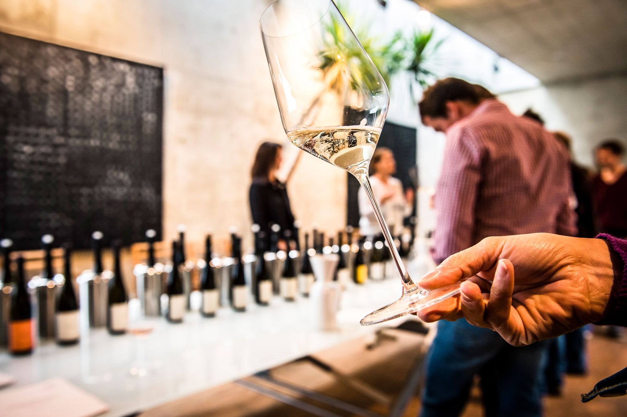 Ein Glas Wein im Vordergrund. Im Hintergrund einige Weinflaschen. 
