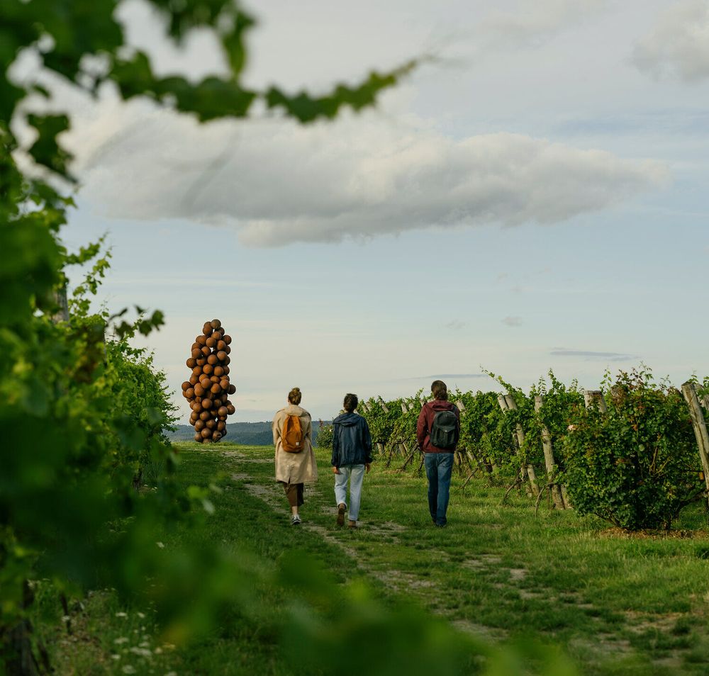 Ein malerischer Weg schlängelt sich durch die sanften Hügel, umgeben von üppigen Weinreben, die in der warmen Sonne leuchten. Die frische Luft ist erfüllt von dem süßen Duft reifer Trauben, während Wanderer in entspannter Stimmung die Schönheit der Natur genießen. Hier, wo die Landschaft und die Kultur des Weinanbaus harmonisch verschmelzen, wird jeder Schritt zu einem unvergesslichen Erlebnis.