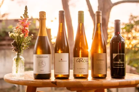 Langenloiser Weinchampions Herbst 2025, © POV Robert Herbst