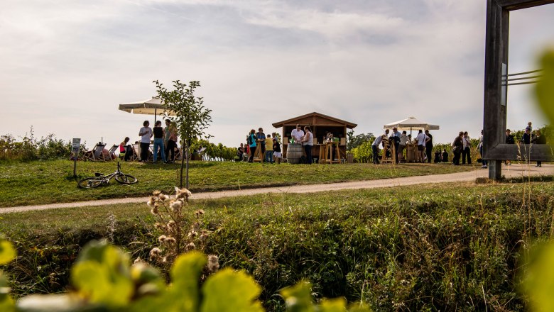 Weingartenschank am WEINWEG Langenlois, © POV Johannes Mautner