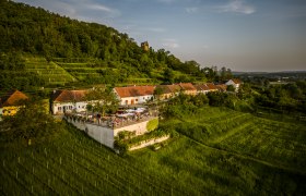 Luftaufnahme eines Weinguts mit Terrasse und G&auml;sten, umgeben von gr&uuml;nen Weinbergen und H&uuml;geln.