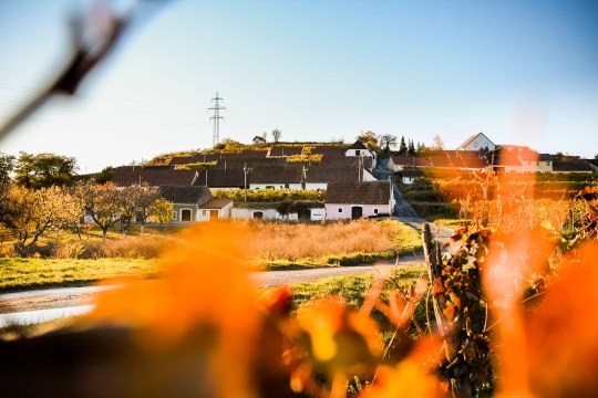 Kellergasse Mittelberg, © POV Robert Herbst