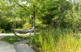 H&auml;ngematte im Garten mit B&auml;umen und Pflanzen.
