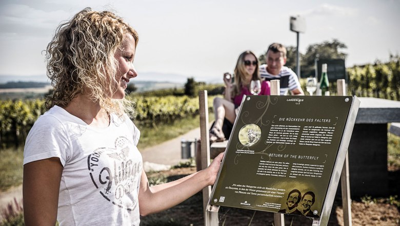 WEINWEG Langenlois, © POV Robert Herbst