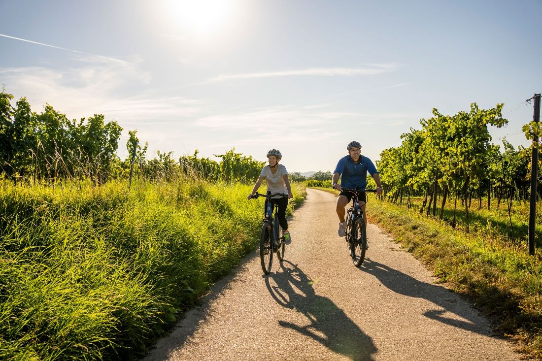 Radfahren im Kamptal