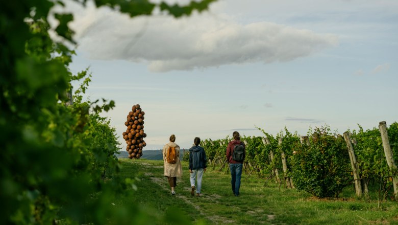 WEINWEG Langenlois, © Niederösterreich-Werbung/Julius Hirtzberger