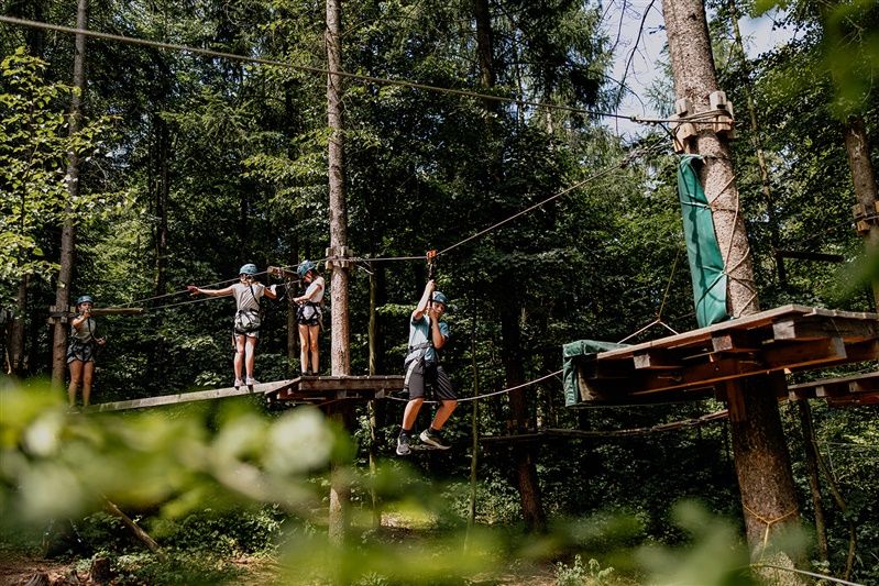 Personen im Kletterpark auf Plattformen in einem Wald.