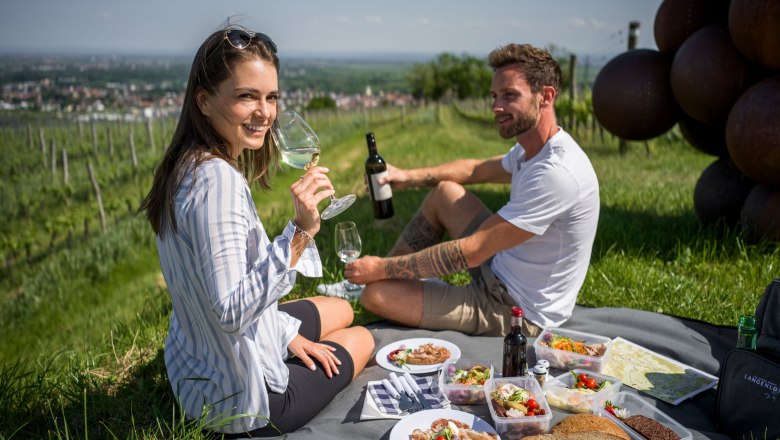 Picknick in der Riede Käferberg, © POV Robert Herbst