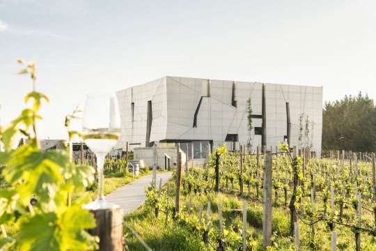 LOISIUM WeinWelt, © POV Robert Herbst