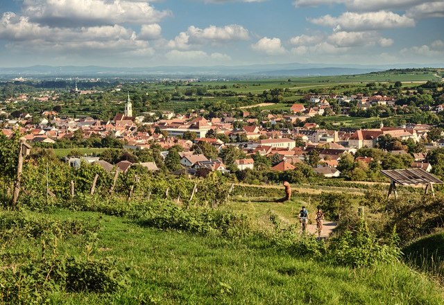 Die schönsten Platzerl rund um Langenlois, © WinEcycle Tours