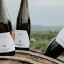 Weingut Fichtenbauer-Mold, &copy; Weingut Fichtenbauer-Mold