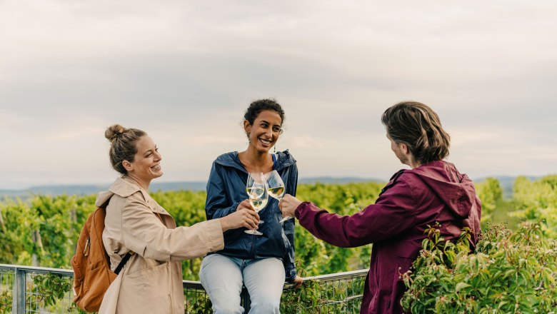 Verkostung am WEINWEG Langenlois, © Niederösterreich-Werbung/Julius Hirtzberger